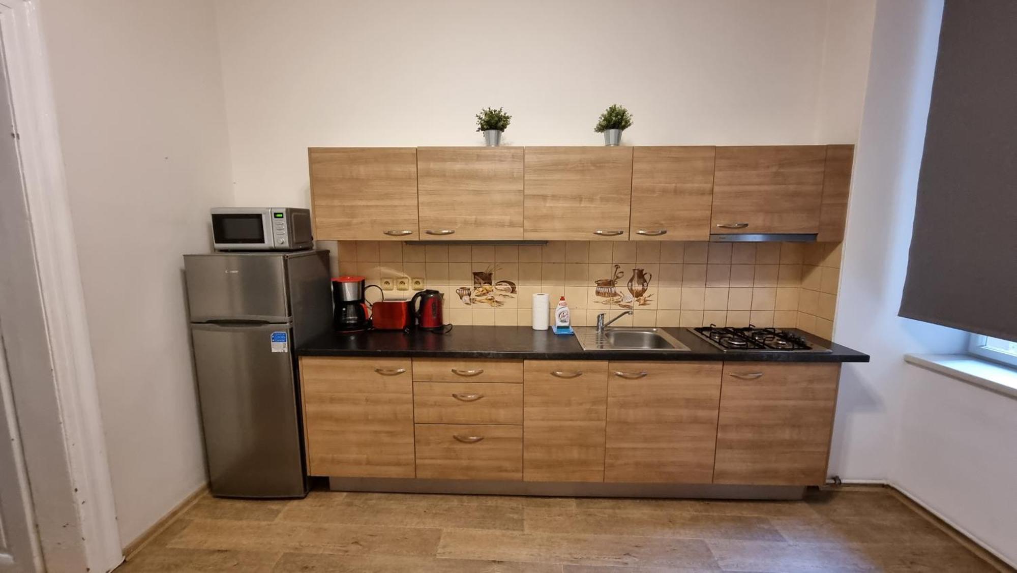 Apartment Krakovska 20 Прага Екстер'єр фото